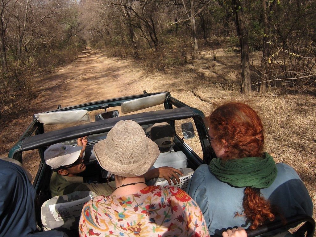 Open safari jeep on a forest track in Ranthambore